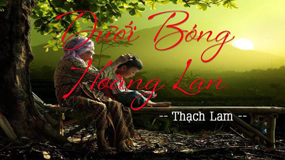 Dưới Bóng Hoàng Lan - Chất thơ được cất lên từ vẻ đẹp tâm hồn