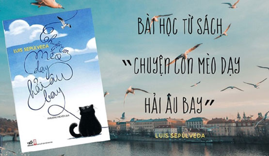 Review sách Chuyện Con Mèo Dạy Hải Âu Bay