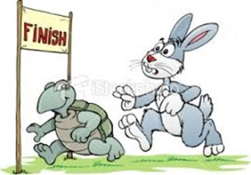 Rùa và thỏ trong môi trường công sở Rùa sống vội để thành công thỏ sống chậm để tận hưởng bạn là ai