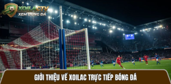 Lytuong.net - Xoilac bóng đá 4K, xem C1, World Cup 2026 miễn phí
